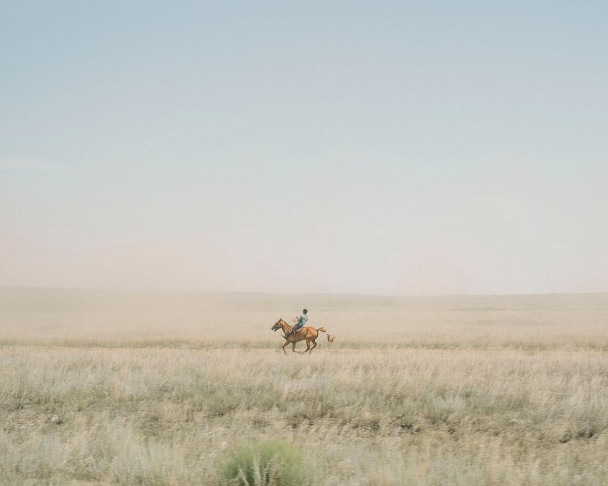 Header Image